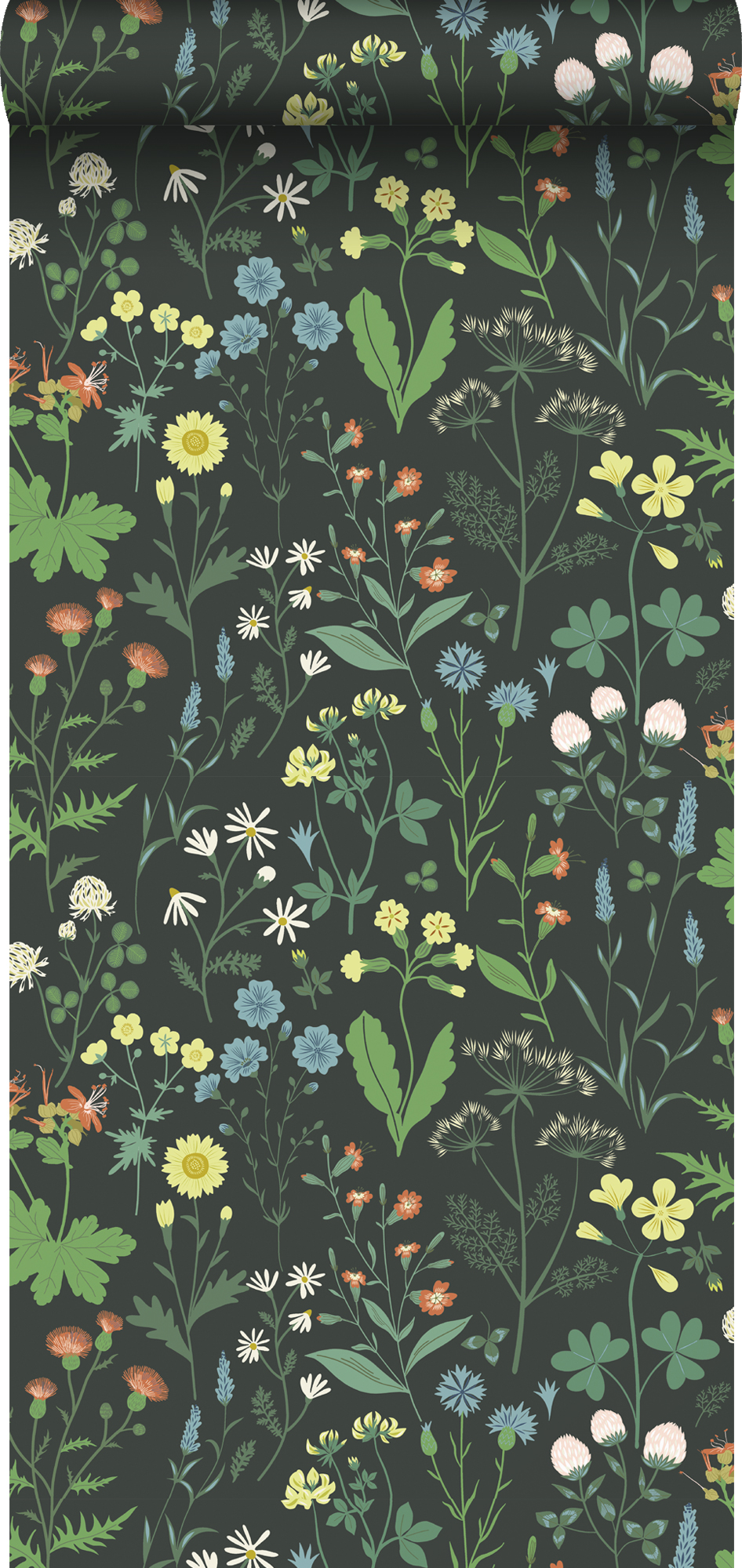 Papel pintado flores silvestres multi color sobre negro - 53 cm x 10.05 m - estahome