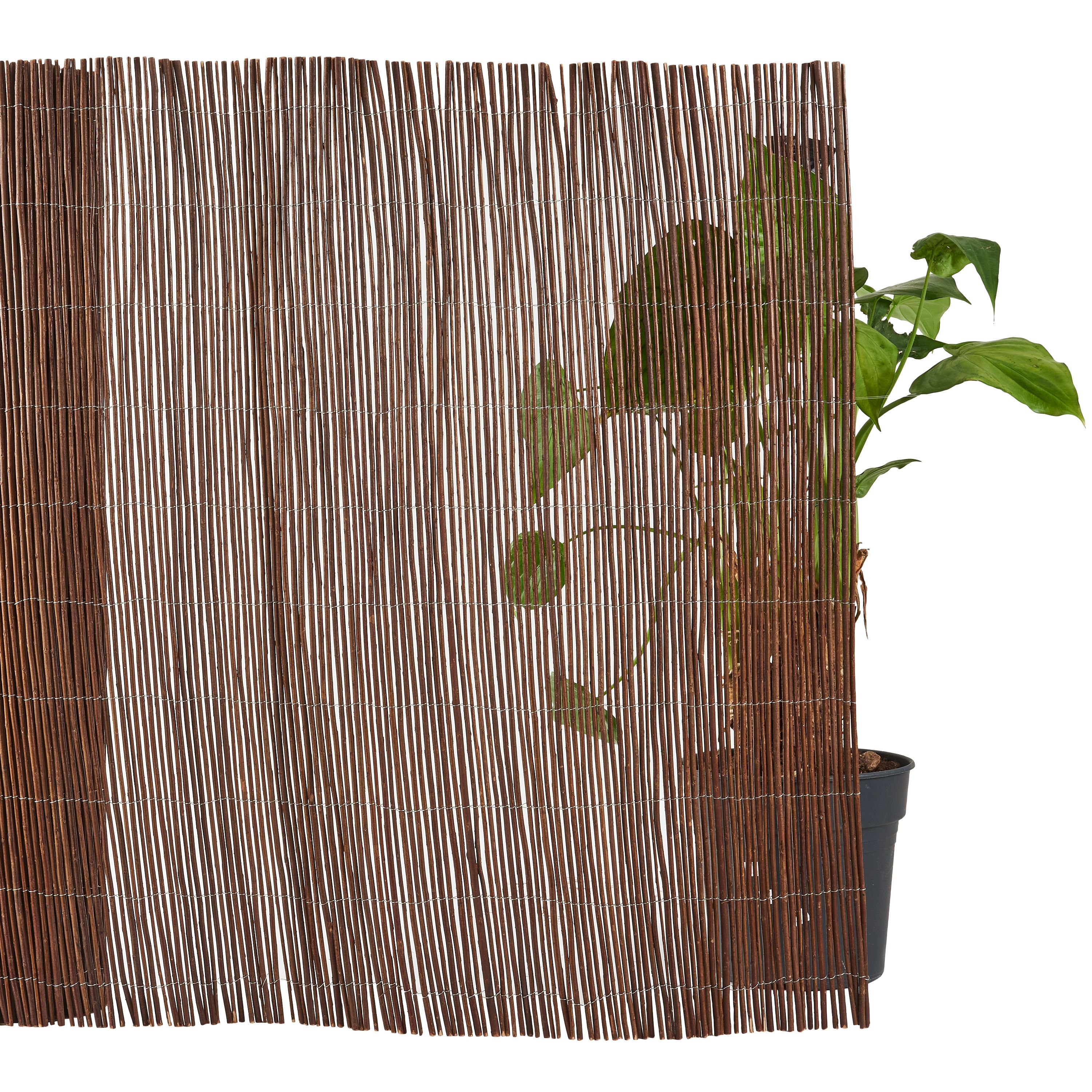 Canniccio in vimini decorativo, naturale, 1,6 kg/m², H.1 x L.3 m, NATERIAL - 3