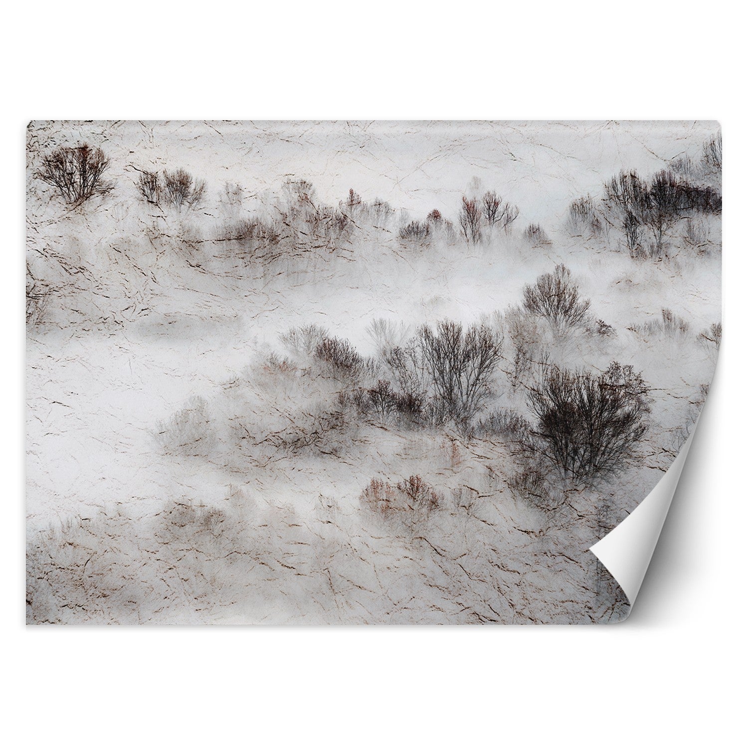 Fototapeta, Łąka mgła drzewa 200x140