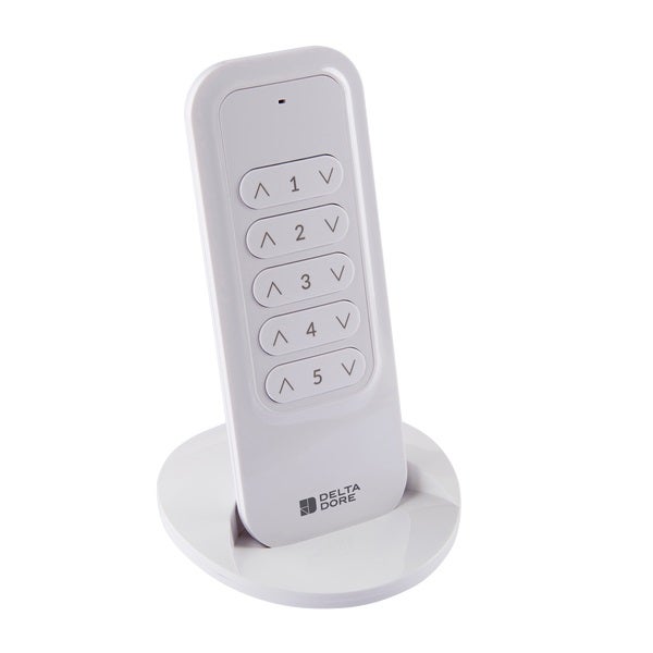 Delta Dore - TYXIA 1700 télécommande radio 5 voies pour éclairage et volets roulants - 6351403 - 2