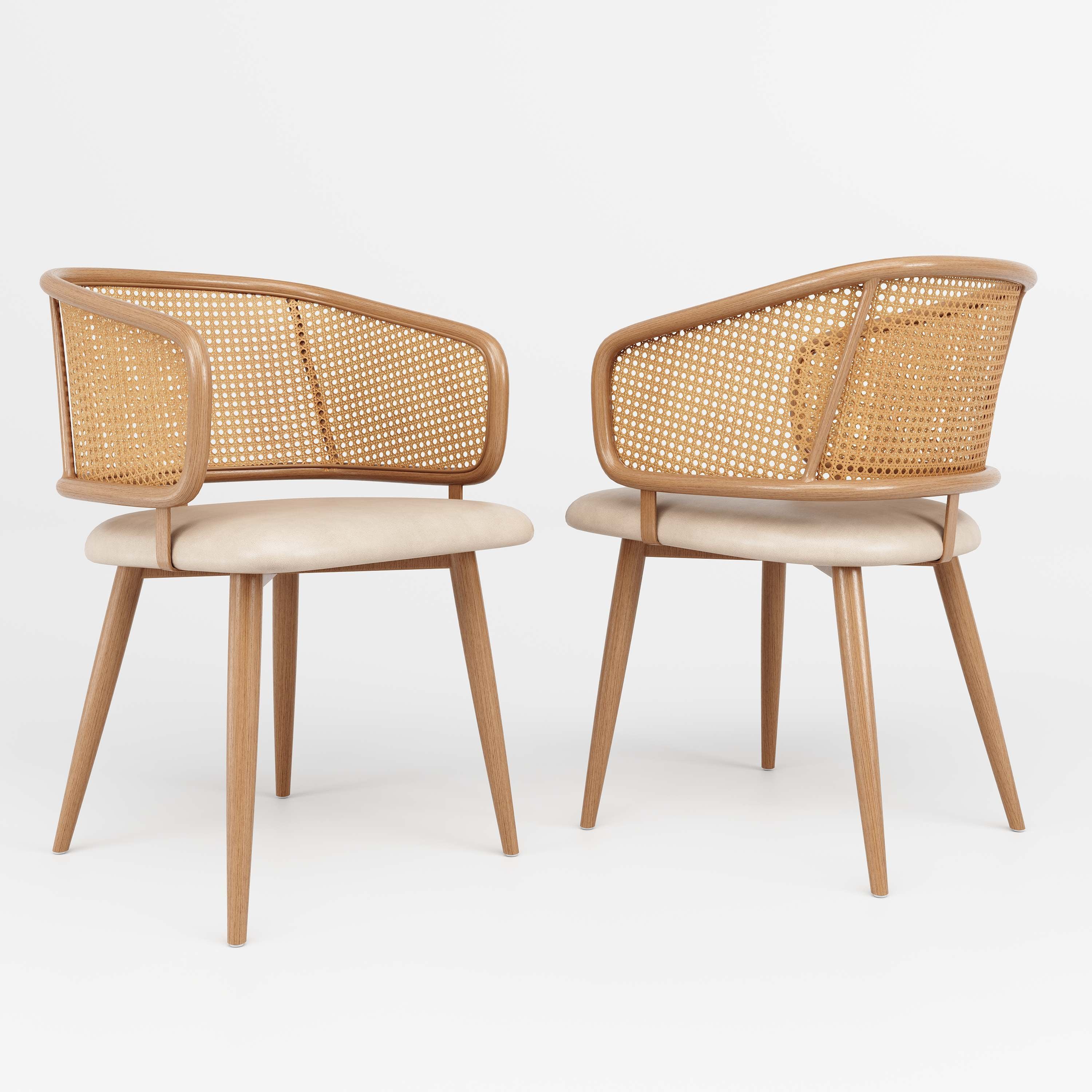 Chaise salle à manger - 2 pièces - dossier en rotin, coussin en PU, style moderne et simple - Beige Marron - 4