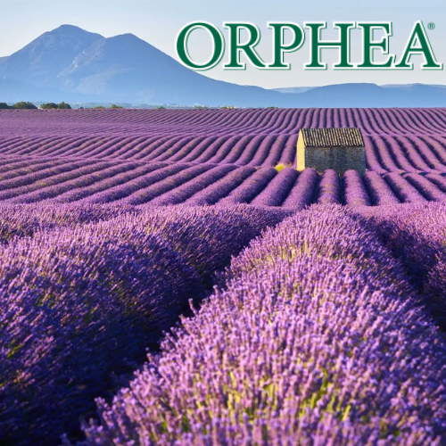 Antimite Salvalana Lavande Pcs 12 Orphea - 3