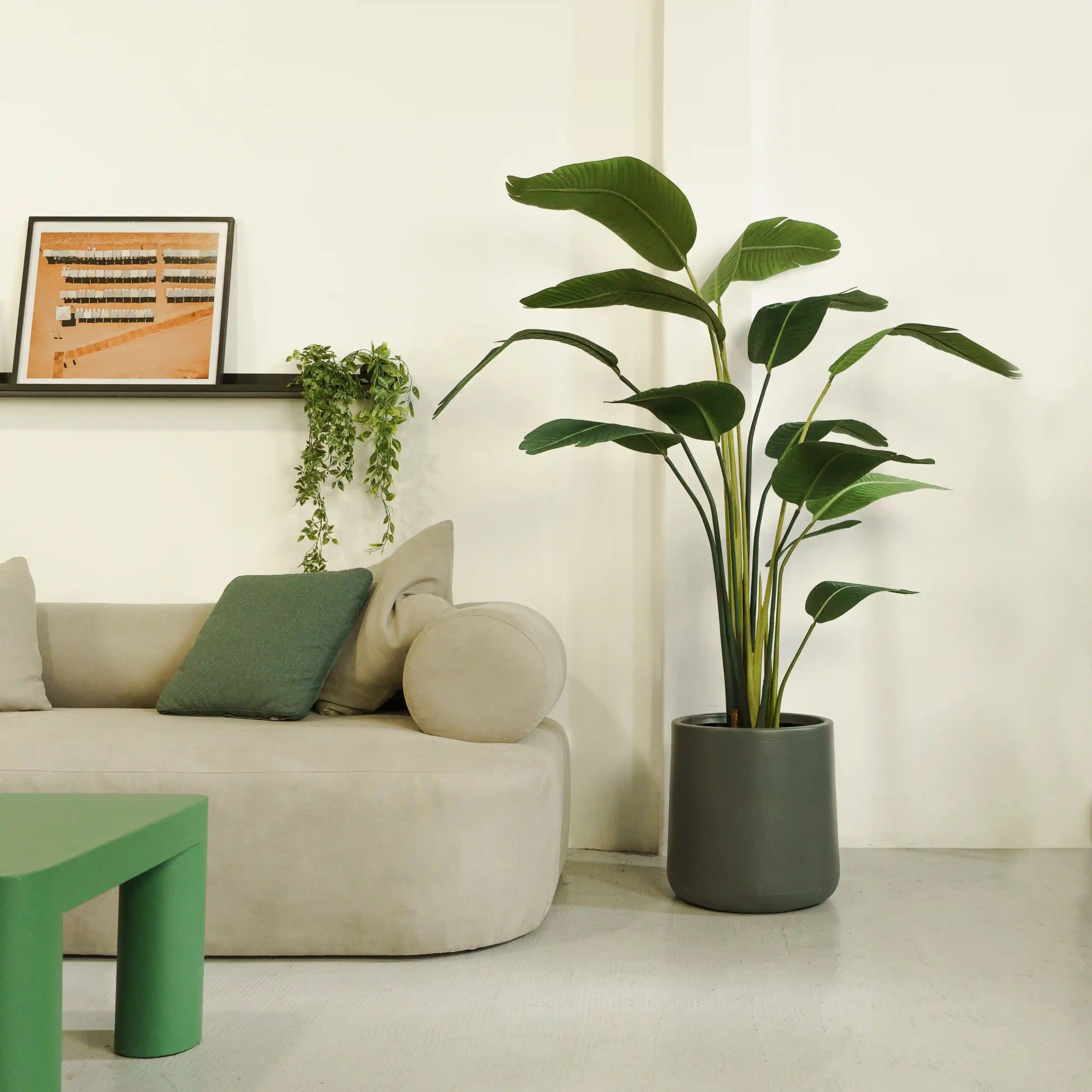 Planta Artificial Ave del Paraíso 180 cm - Strelitzia Artificial - 2