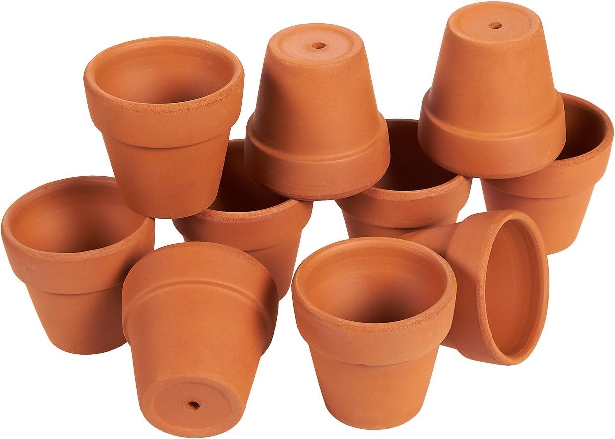 20 Vasetti In Terracotta Piccoli Per Piante Grasse | 3,5x3 Cm Con Foro Di Drenaggio, Ideali Per Cactus E Fai Da Te