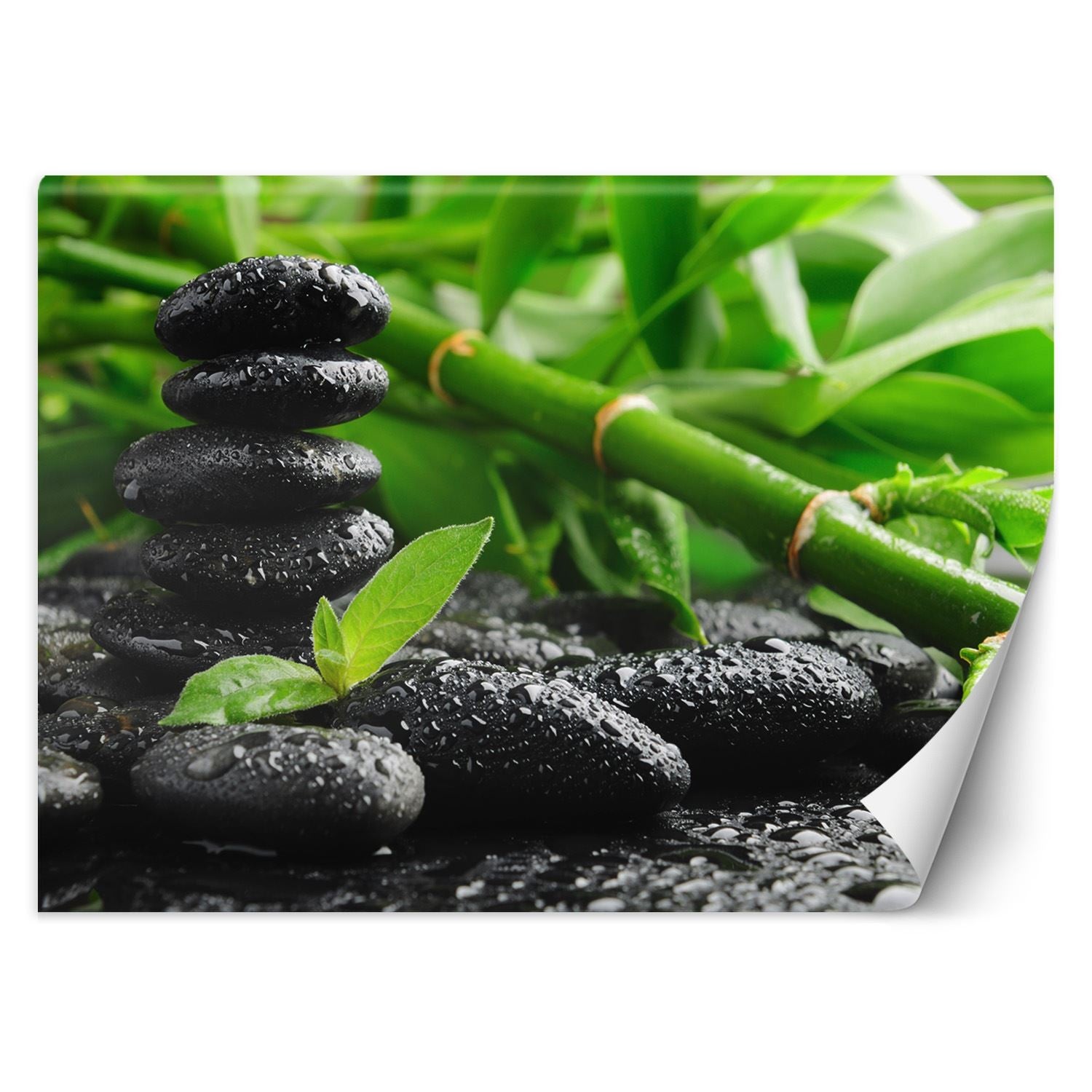 Fototapeta, Bambus kamienie zen 150x105