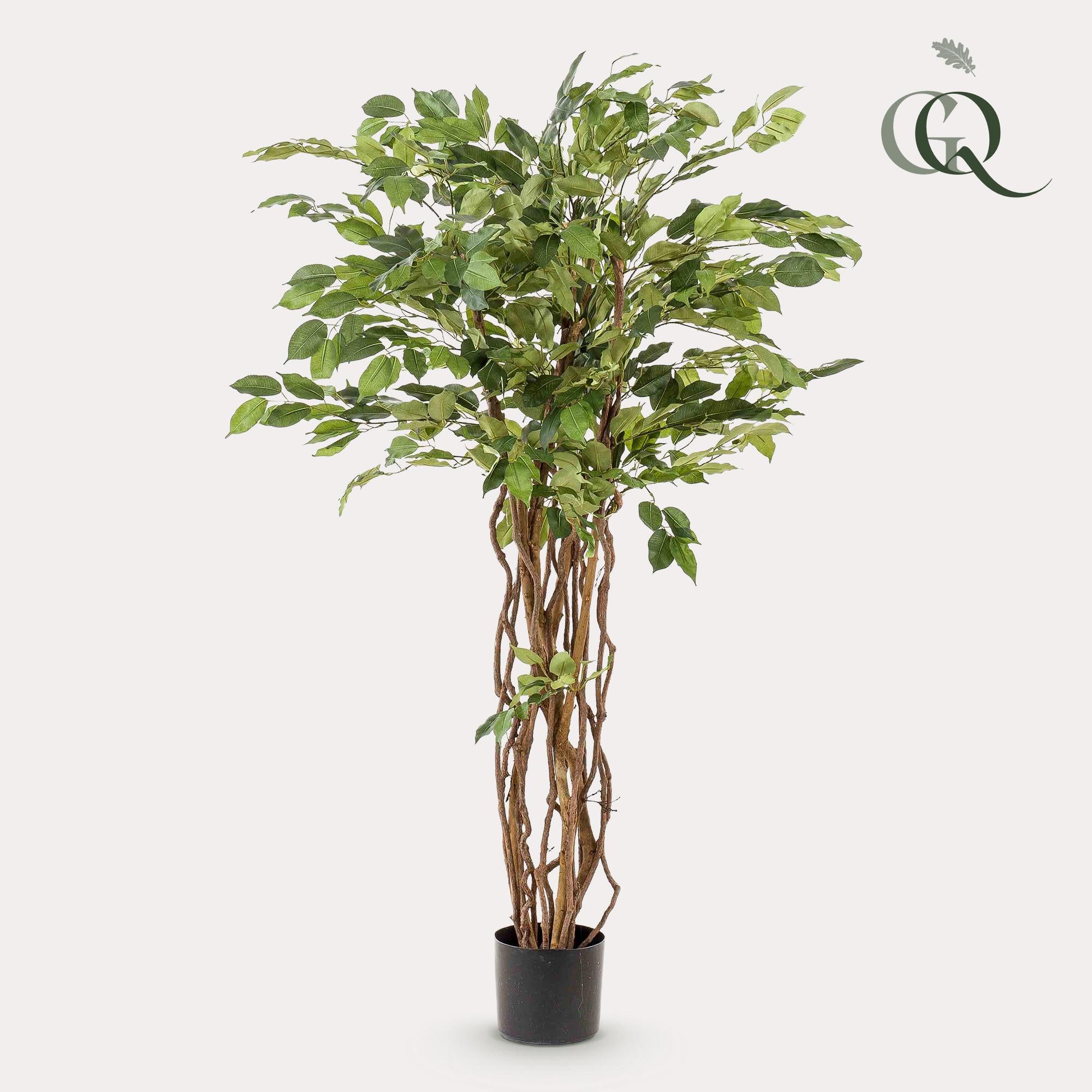 Green boutiQ Sztuczny Ficus Liana – Vioolbladplant – 140 cm – Dekoracja wnętrz bez pielęgnacji