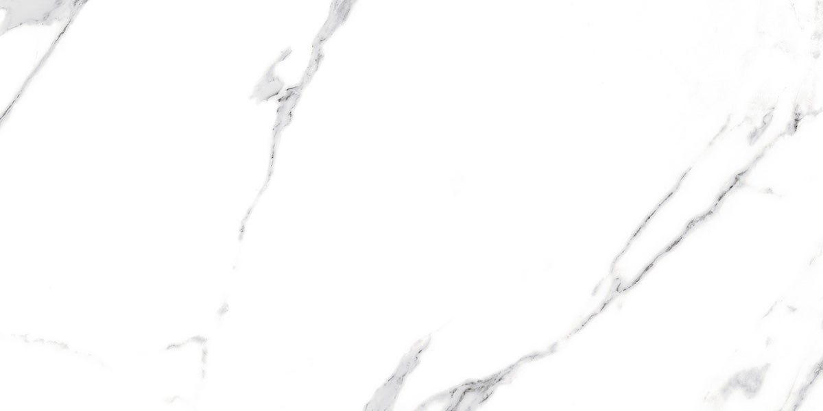 Carrelage rectifié pour sol ou mur intérieur 60 cm x 120 cm - Swiss White Grey - 5