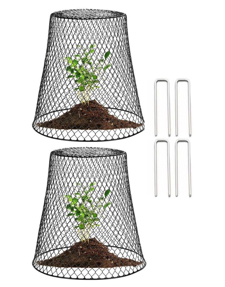 2 sztuki klosza ogrodowego, druciany klosz ogrodowy, klatka ochronna na rośliny, z 10 gwoździami w kształcie litery U, czarny