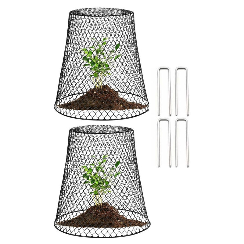 2 sztuki klosza ogrodowego, druciany klosz ogrodowy, klatka ochronna na rośliny, z 10 gwoździami w kształcie litery U, czarny