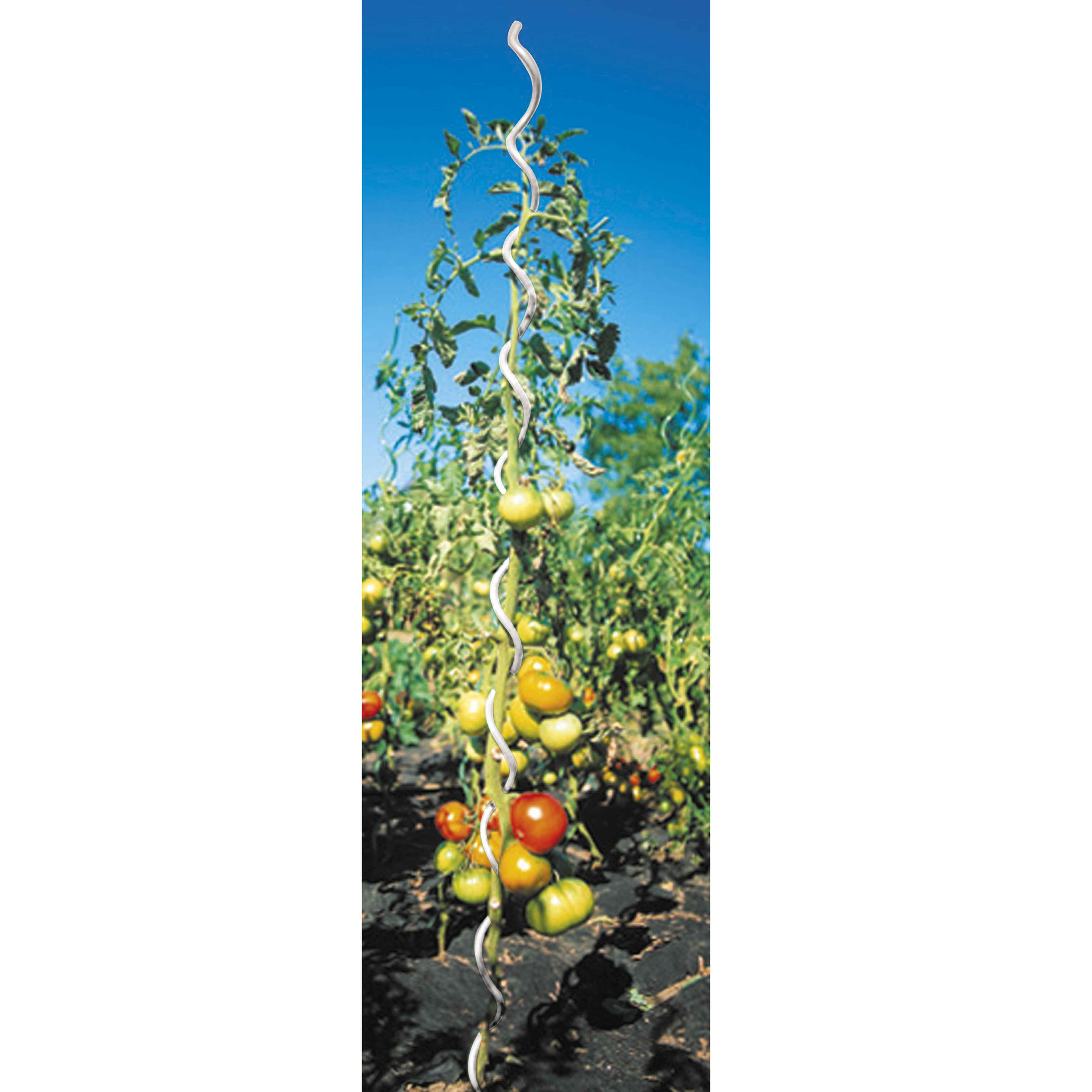 Lot 5 tuteurs spirales 1,8m WERKA PRO en acier - 4