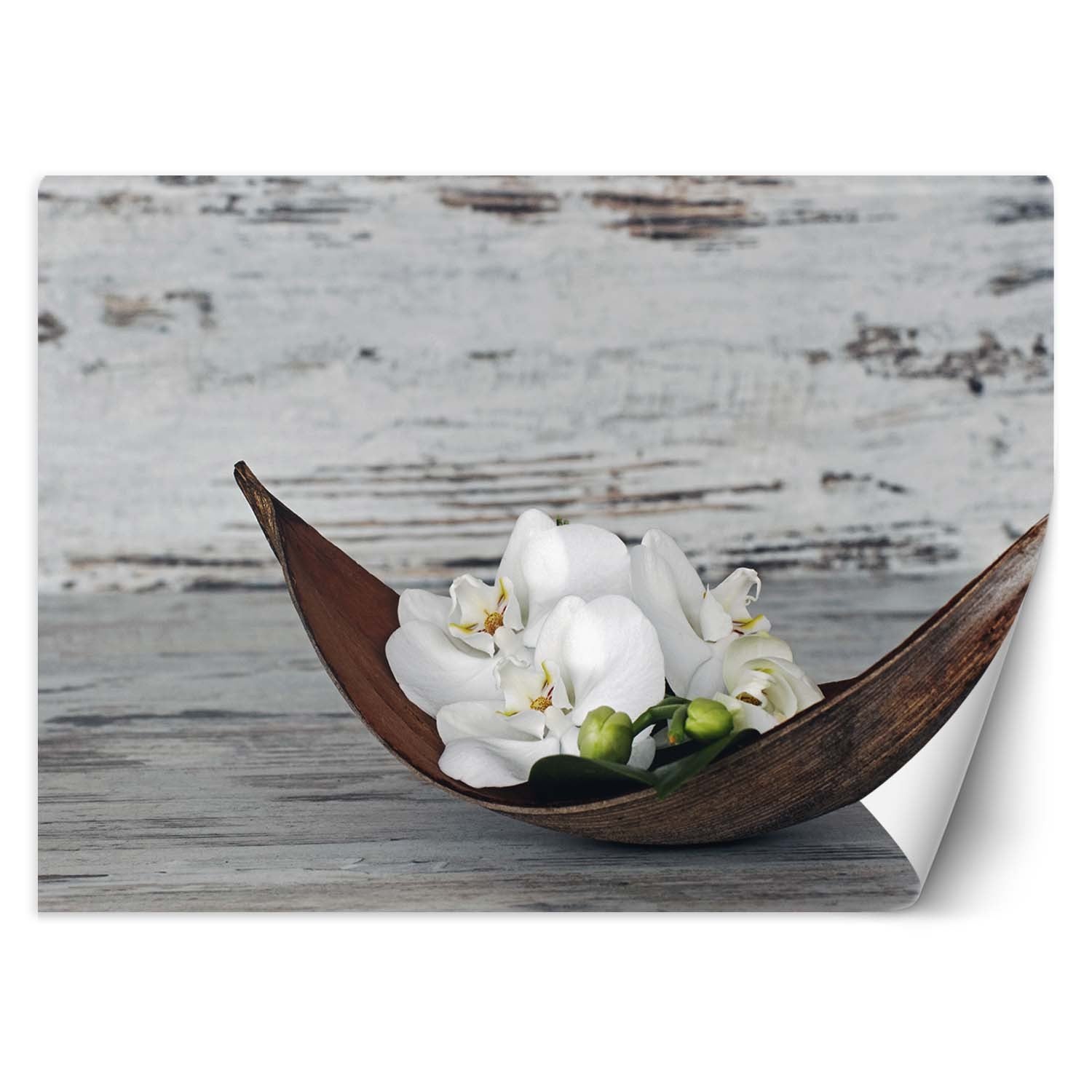 Fototapeta, Orchidea zen spa 150x105