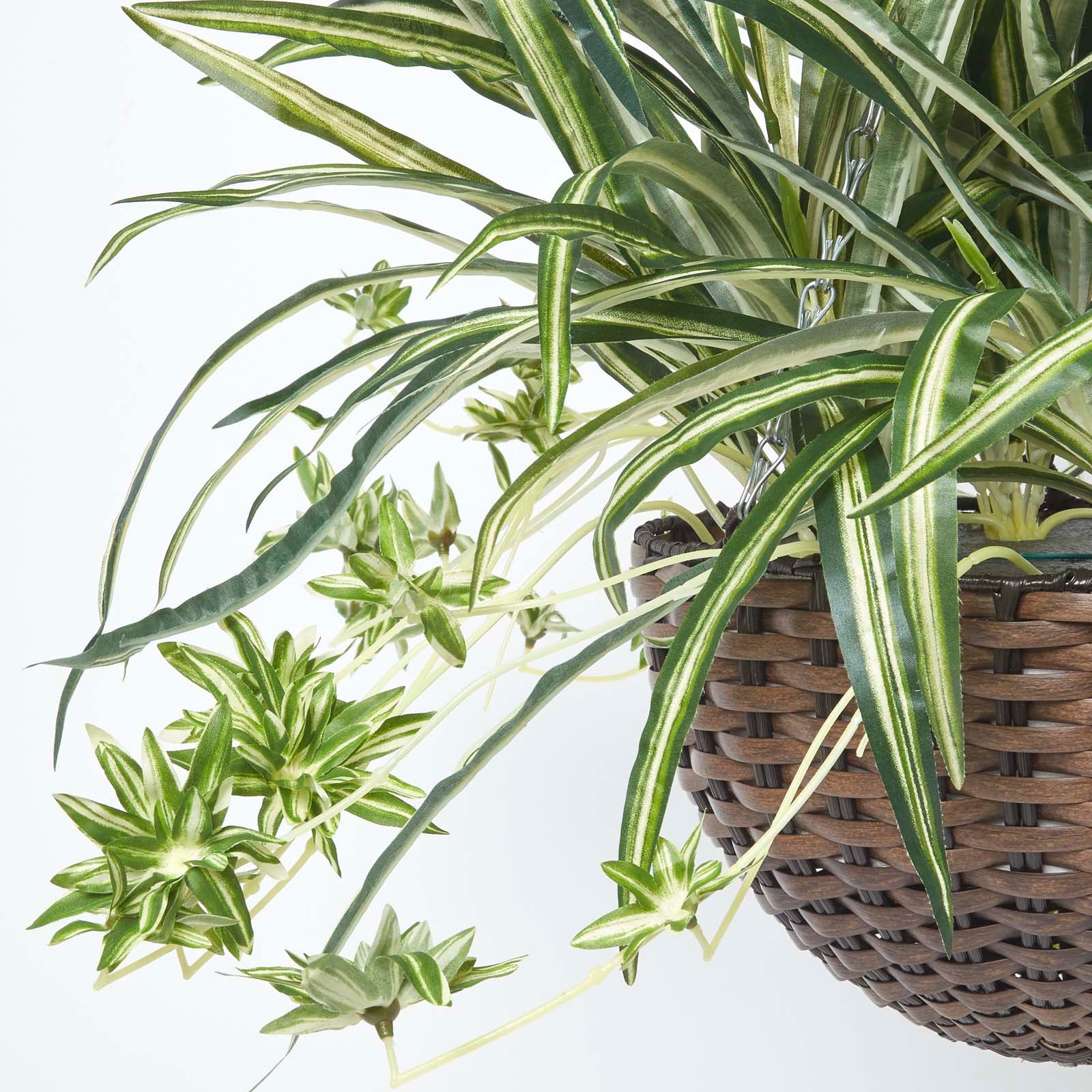 Homescapes Panier à suspendre Plante artificielle Chlorophytum - 3