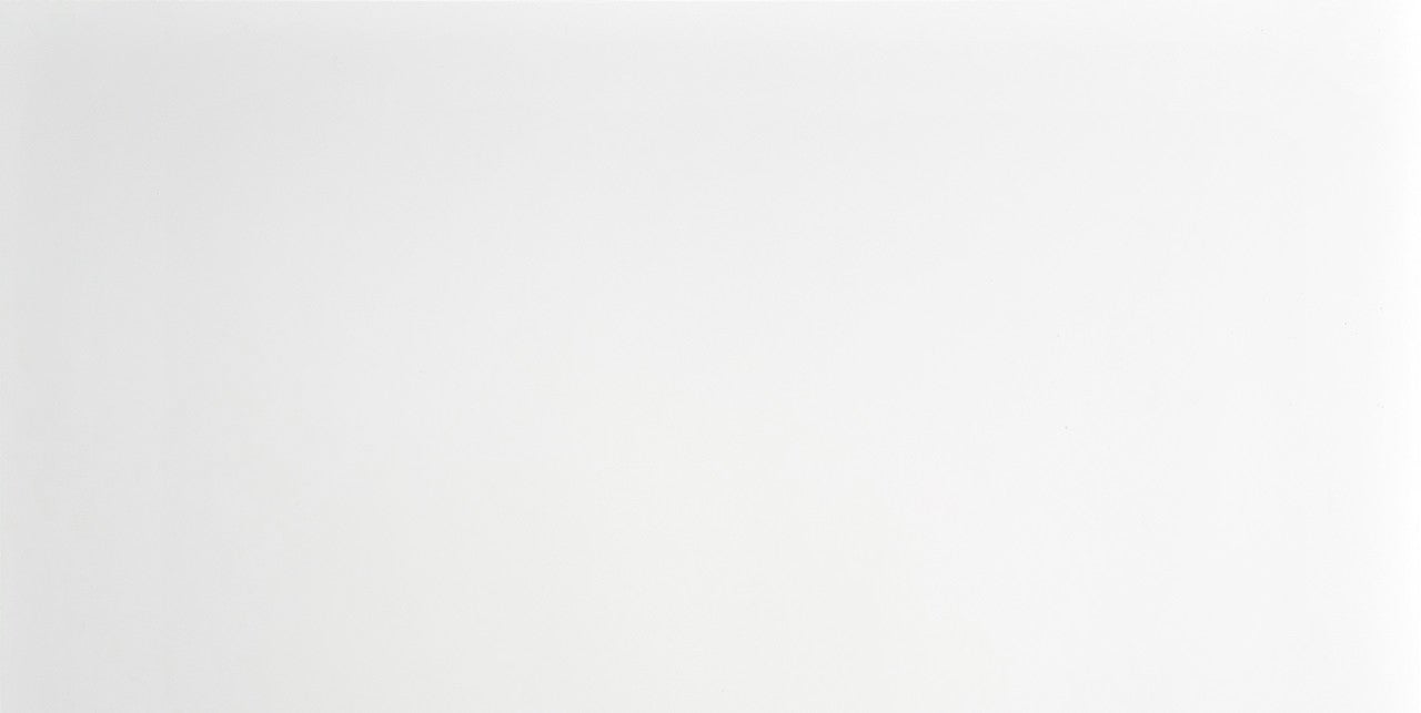 Piastrella rettificata per parete ad uso interno 30 x 60 cm bicottura - Super White Mat - Sp. 9mm - 4