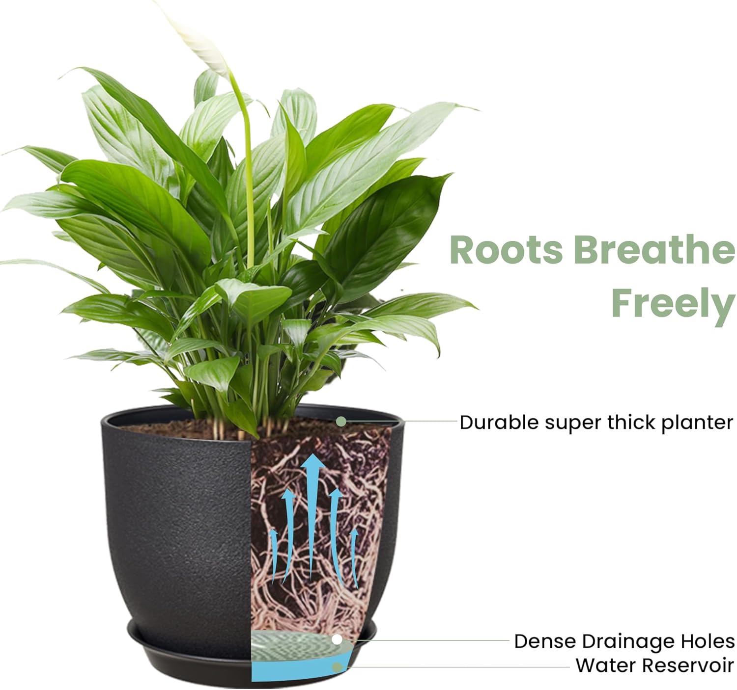 Pots De Fleurs De 16,5Cm, Jardinières Modernes Avec Trous De Drainage Et Soucoupe Détachable