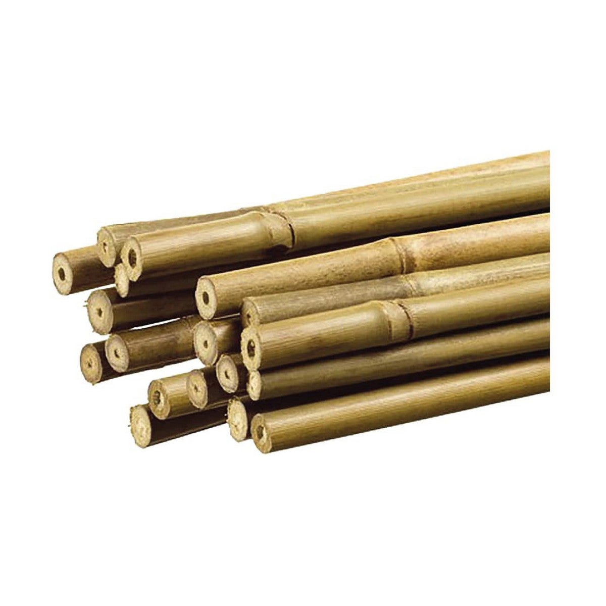 Tutor de bambú decorativo color natural ø1,1cm x1,80m nortene - 3