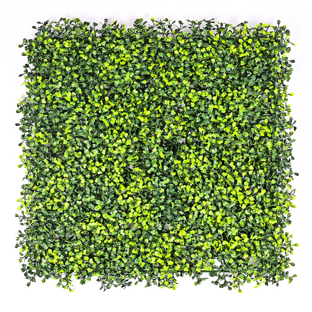 Sztuczny żywopłot 50 cm x 50 cm, ochrona i prywatność dla ogrodu, tło ścienne z syntetycznej trawy, ochrona UV (1 sztuka)