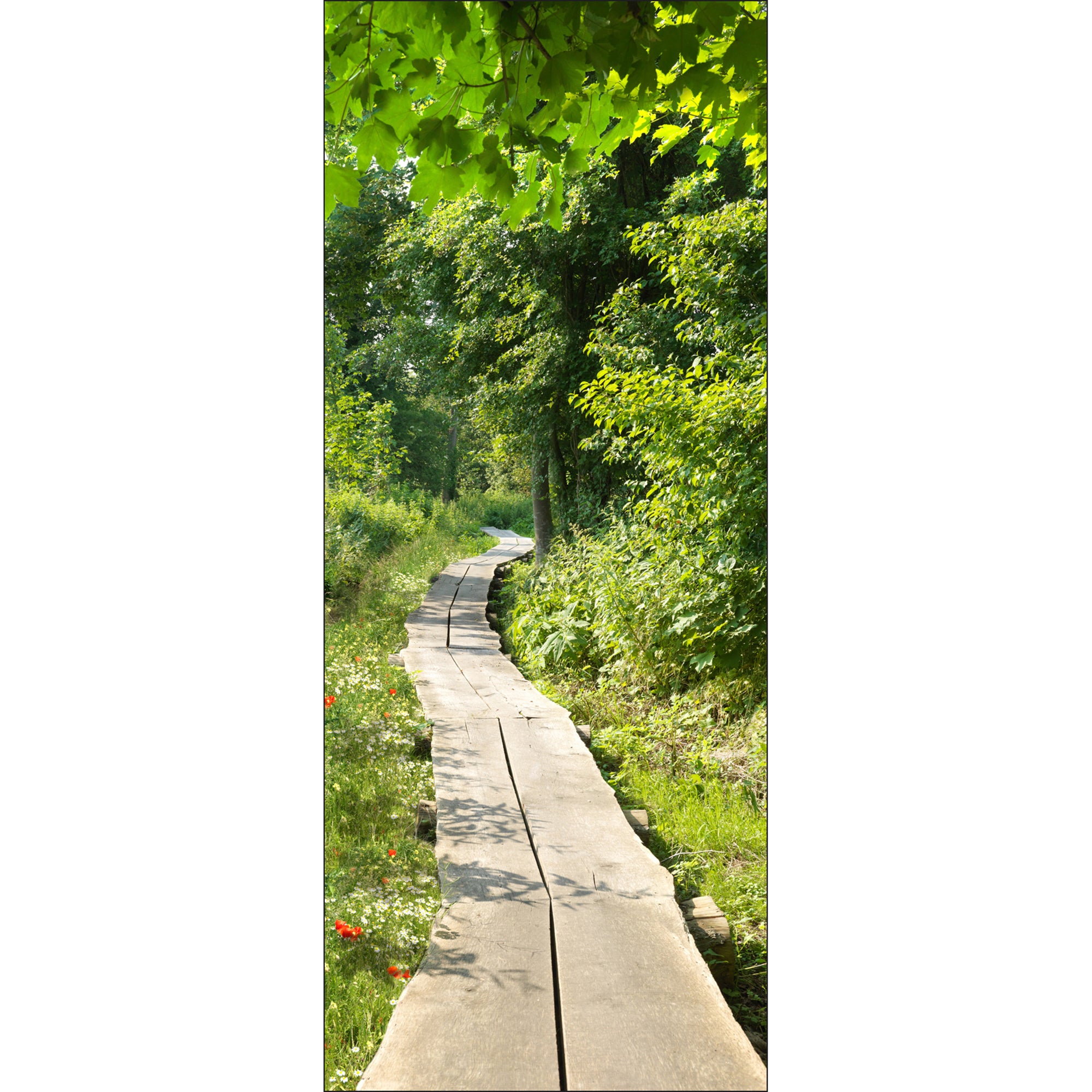 Autocollant Mural Tulup 'Promenade En Forêt' - 75x205 Cm - Décor Moderne Vert - Pour Toutes Pièces