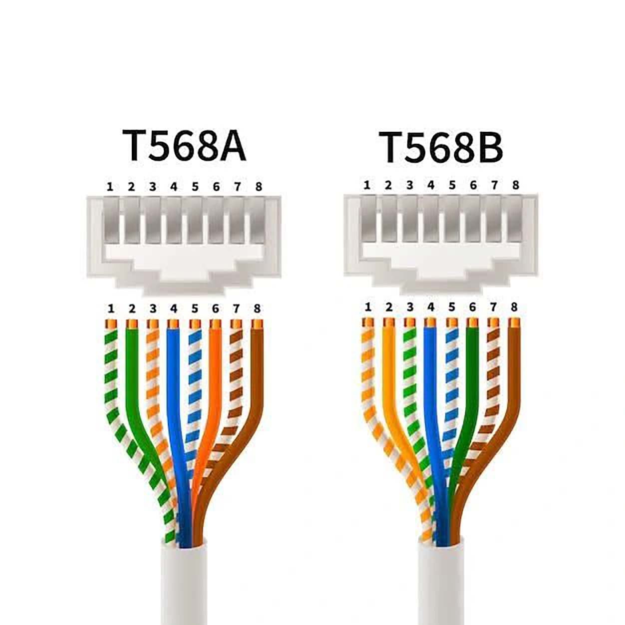 Rallonge ethernet cat5e 1.50m blindé noire CONECTICPLUS - 2