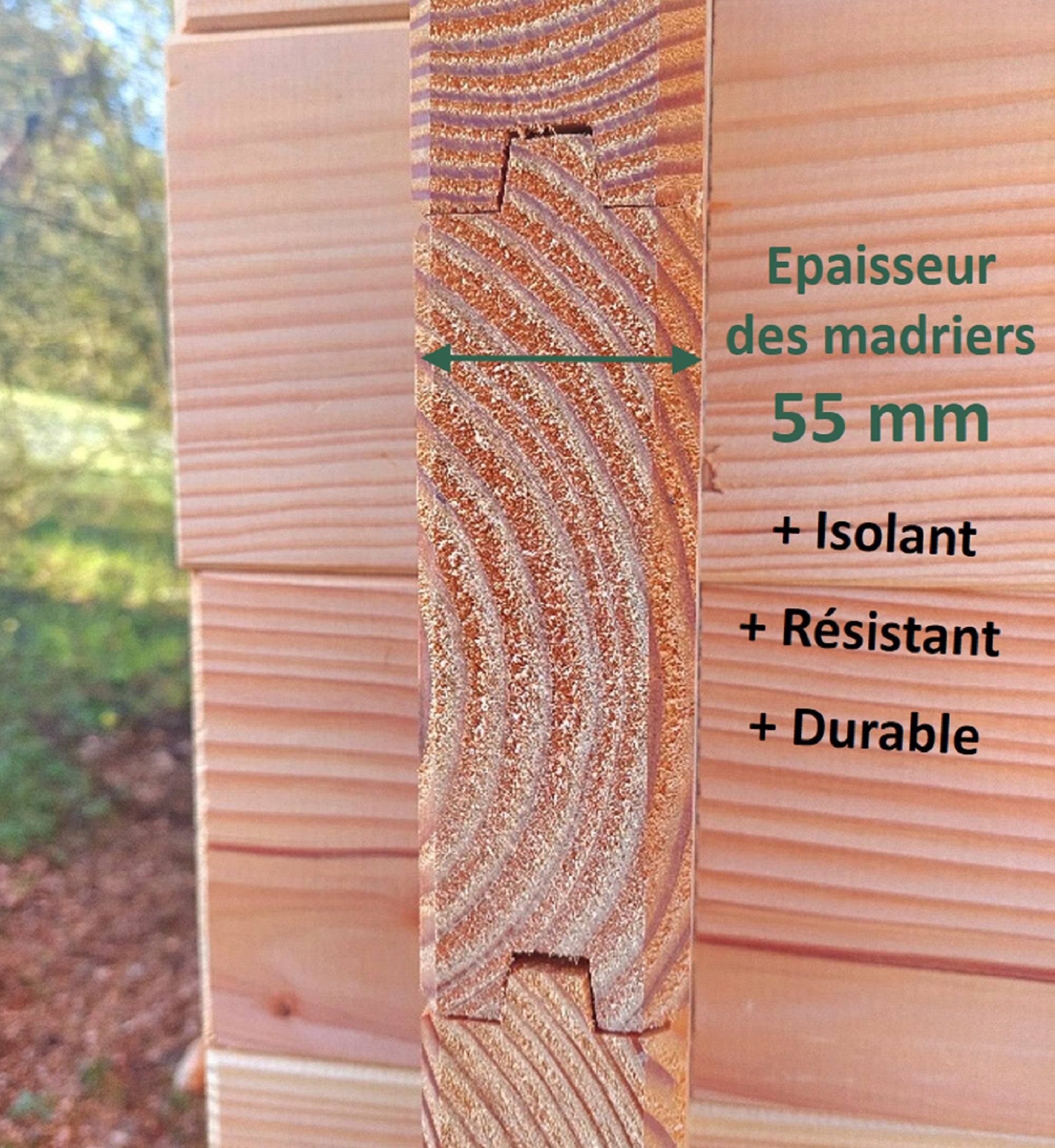 Pool House DESIGN 24m2 - Bois Douglas épaisseur 55mm - Baie coulissante Alu GROSFILLEX - Toiture Bacacier avec voliges - 7