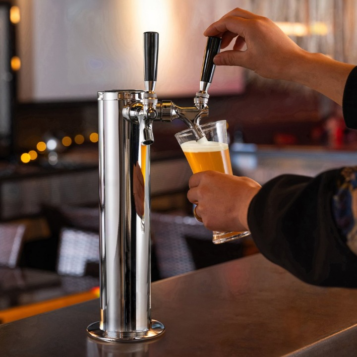 Torre di birra in acciaio inox con 2 rubinetti, regolatore W21.8, manometro doppio e accessori TEKMAQUINAS - 5