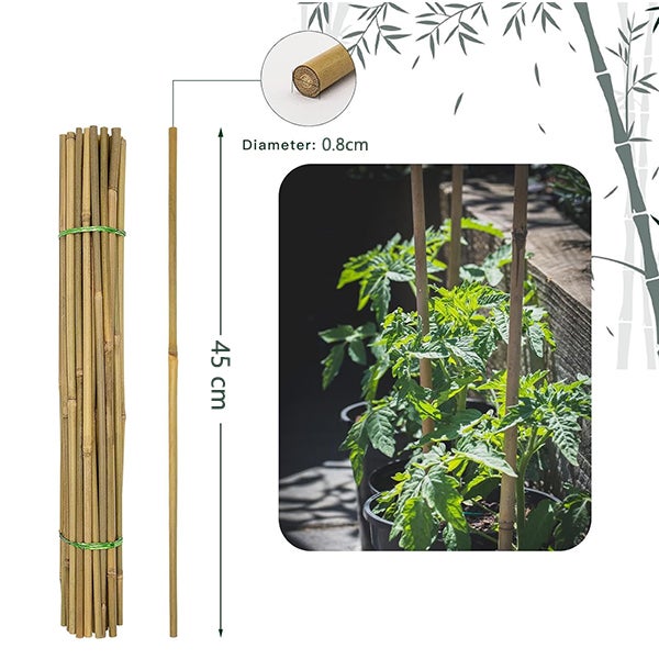 Pali di supporto per piante, bastoncini di bambù per pomodori, fagioli, fiori, piante in vaso, piante rampicanti per interni ed esterni 40 pezzi - 2