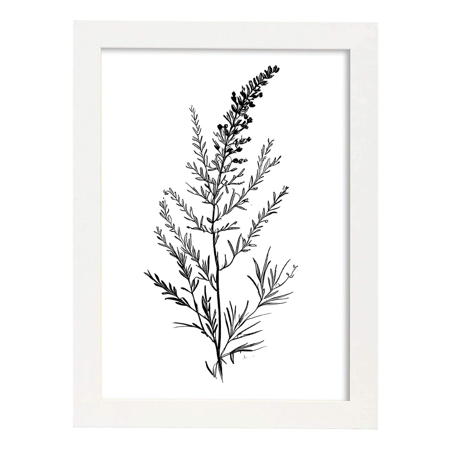 Nacnic poster de brezo estilo nórdico ilustraciones de botánica con flores y plantas en blanco y negro diseño y a3 con marco blancos