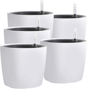 Aibelity Lot De 6 Indicateurs De Niveau D'Eau Pour Plantes - Outil Jardinage Pratique