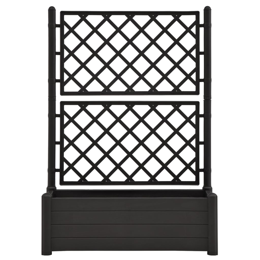 Jardinière avec treillis 100x43x142 cm PP Anthracite - 3