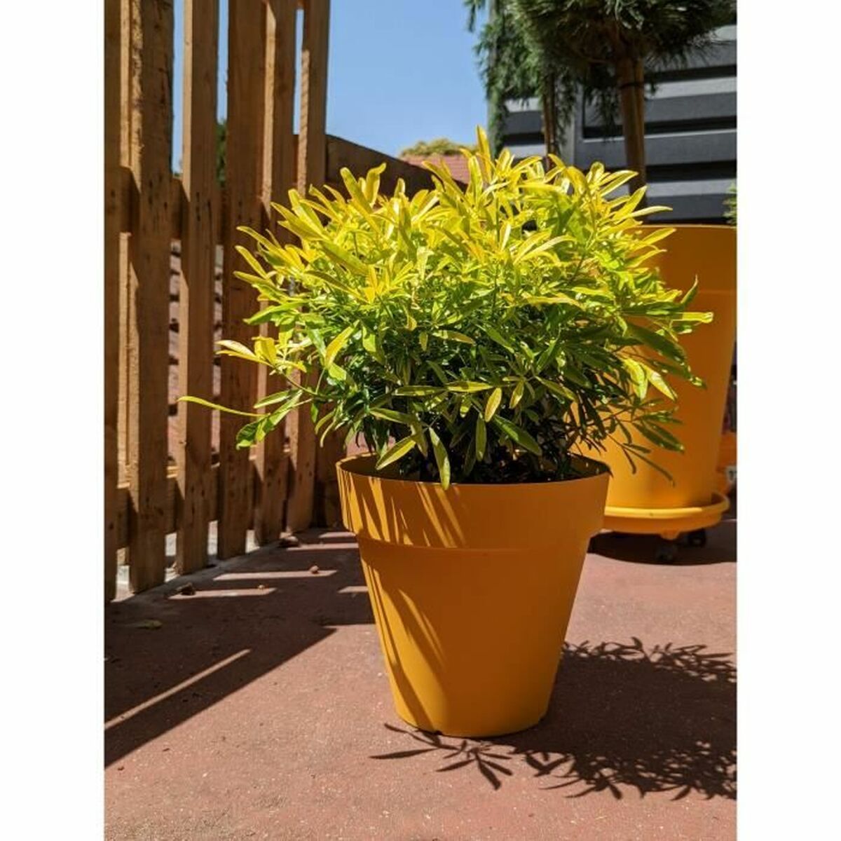 Plant pot Riviera RIVIERA Black Ø 40 cm main image 1