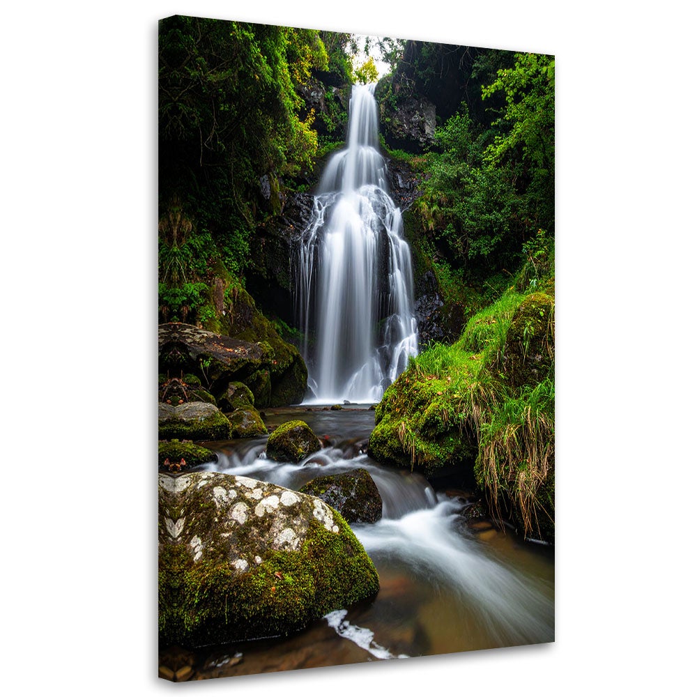 Obraz do salonu sypialni biura, Pejzaż wodospad drzewa natura 60x90