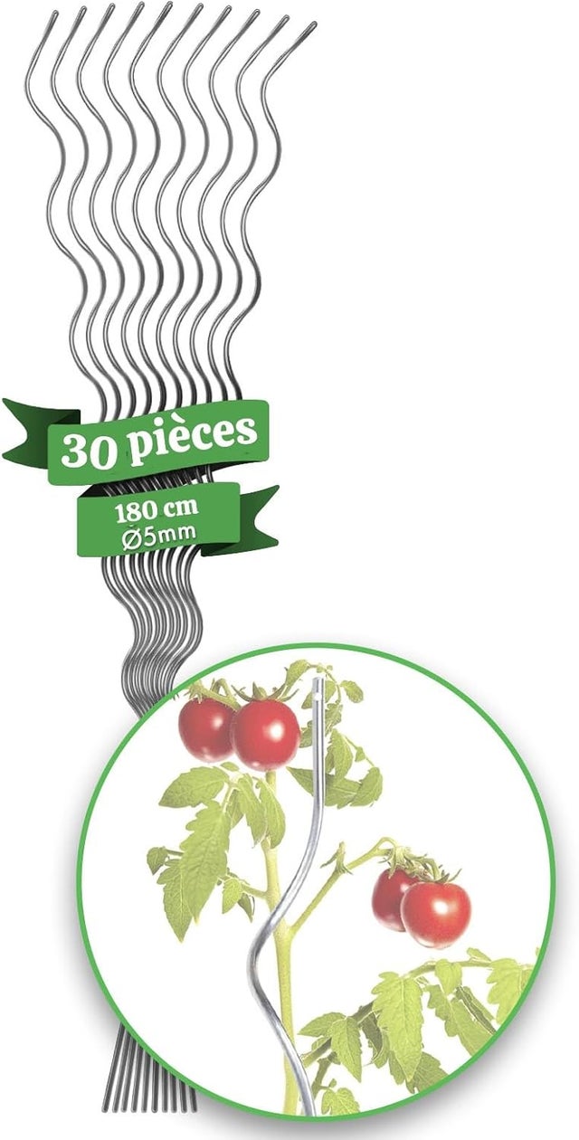 Lot de 30 tuteurs spirales galvanisés pour plantes grimpantes, tomates, concombres, framboises et fleurs - 180 cm