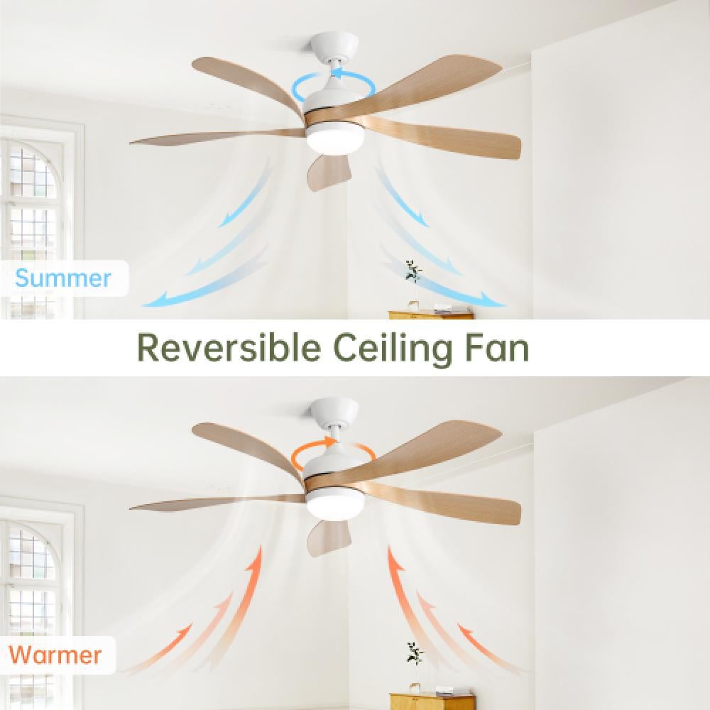 Ventilateur de plafond 52