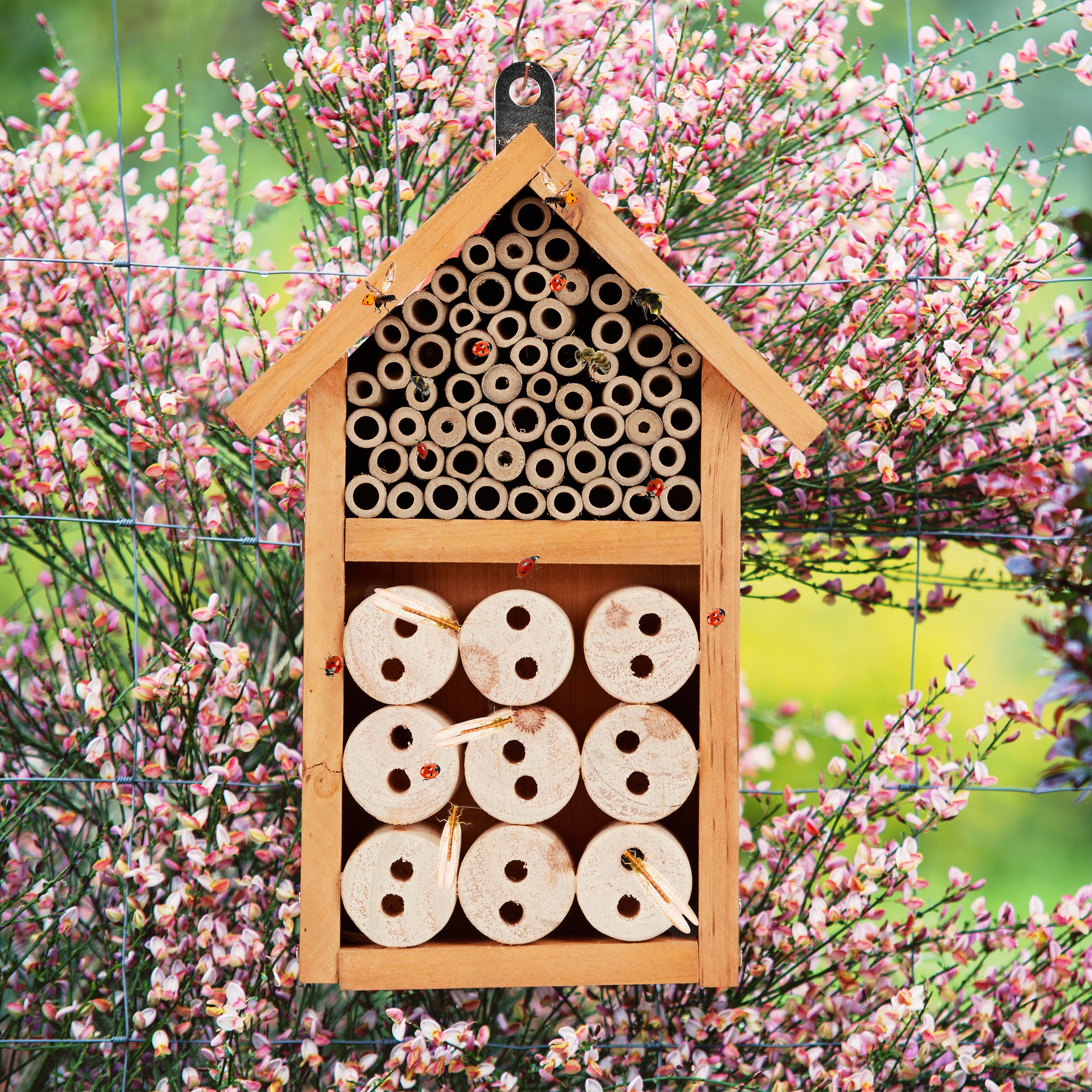 Hôtel à Insectes Relaxdays – Nid Abeilles & Guêpes, Refuge Coccinelles, Bois & Bambou 15,5×16×10,5 Cm