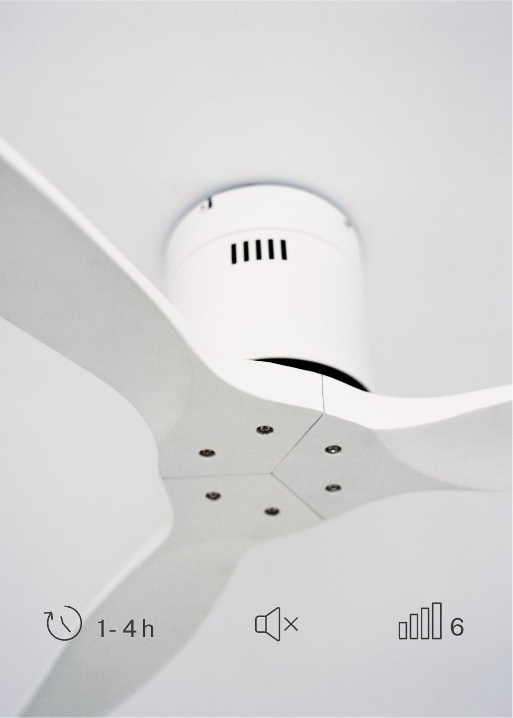 WIND CALM NATURAL WOOD M - Ventoinha de teto 40W silencioso 100% madeira - sem luz - sem wifi - 5