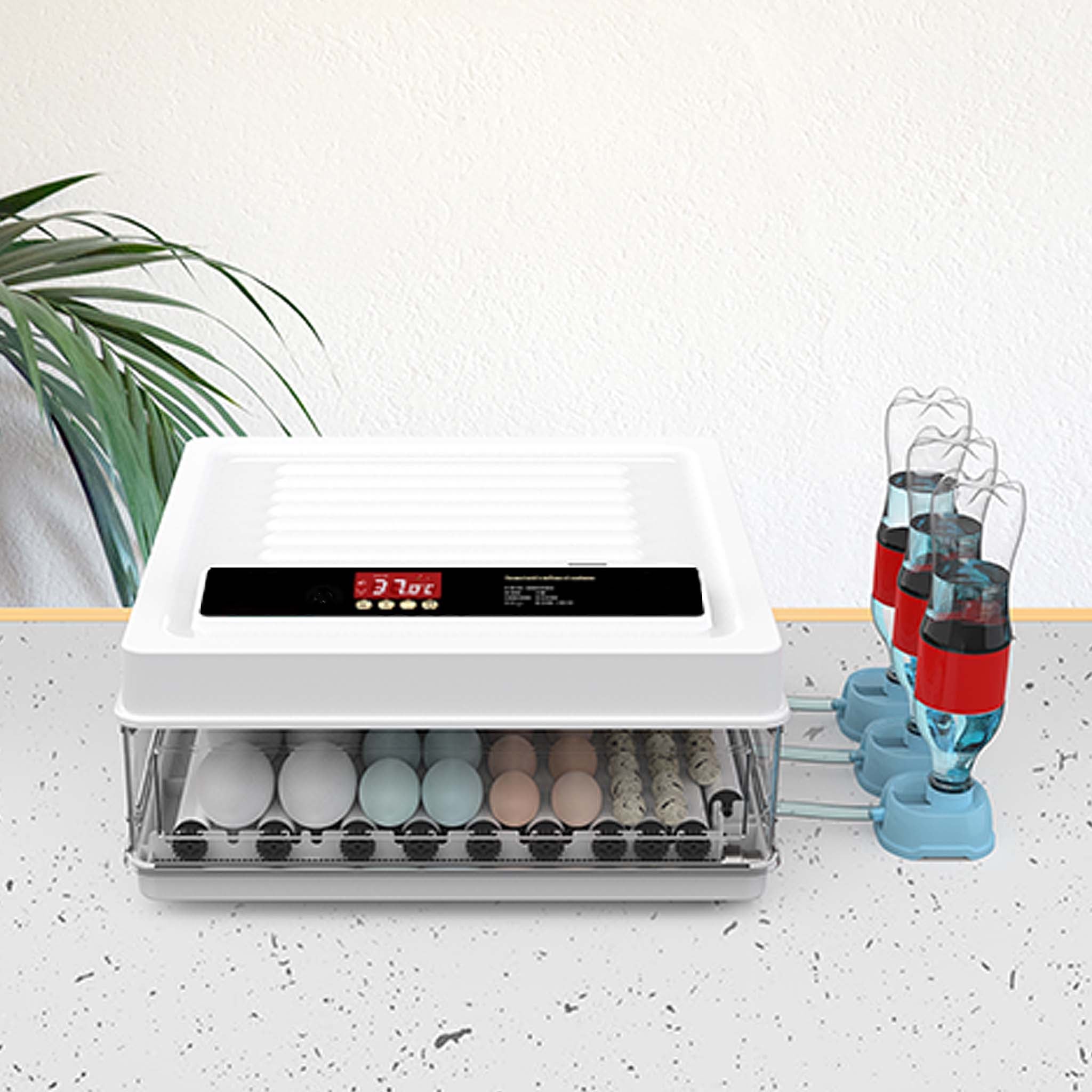 Couveuse Œufs Automatique 24-36 Œufs - Retournement Humidification Mire-Œuf 4 Modes Poules Canards Oies Pigeons