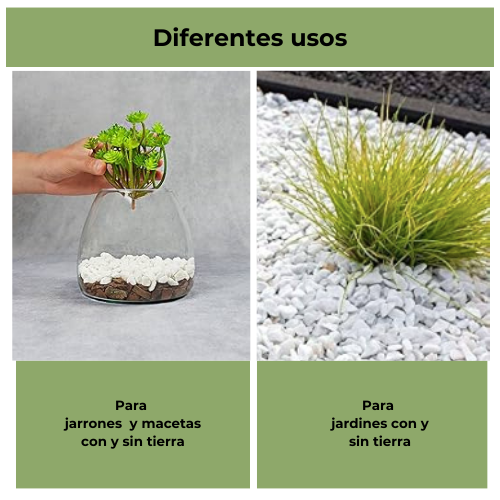 Grava decorativa para jardines Blanco Puro 5 Kg (12/20 mm). Piedra Blanca. Vegara Stone - 4