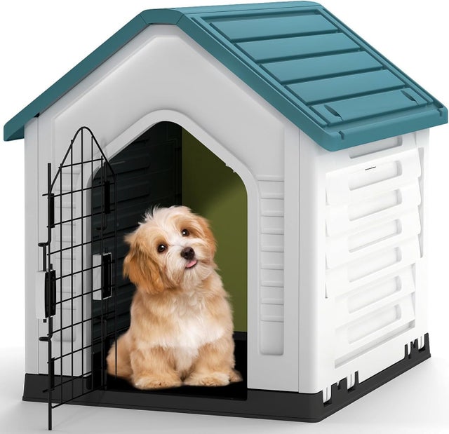 Casota para cães exterior 67×52×60 cm, casota para cães exterior em PP impermeável com porta em rede metálica com fechadura (azul)
