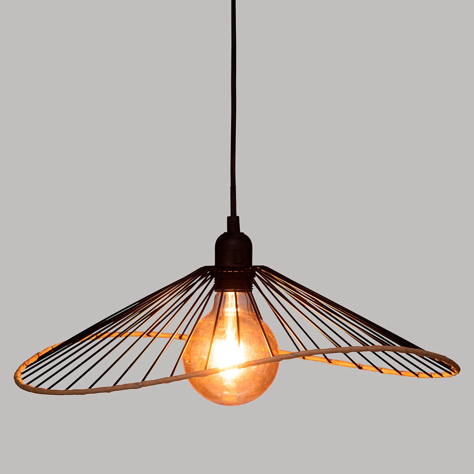 WELLHOME Lámpara Colgante de Techo Pantalla Metal Ø43x46cm - 3