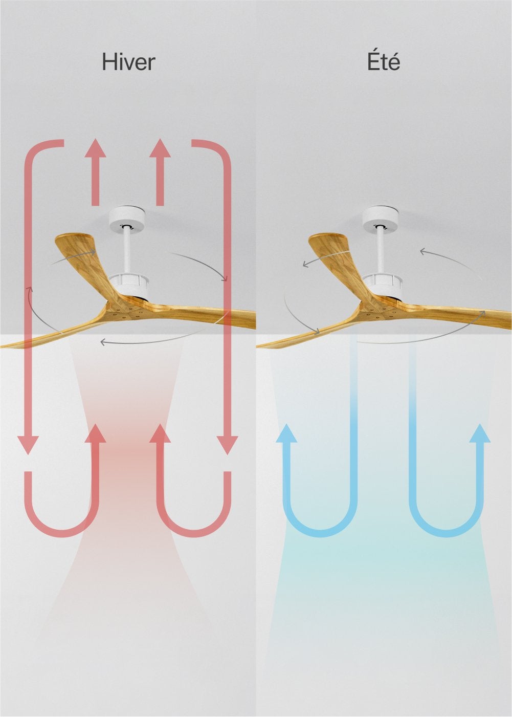 WIND LARGE DC - Ventilateur de Plafond 40W Silencieux XL Ø152 cm - Sans Lumière et avec WIFI - 4