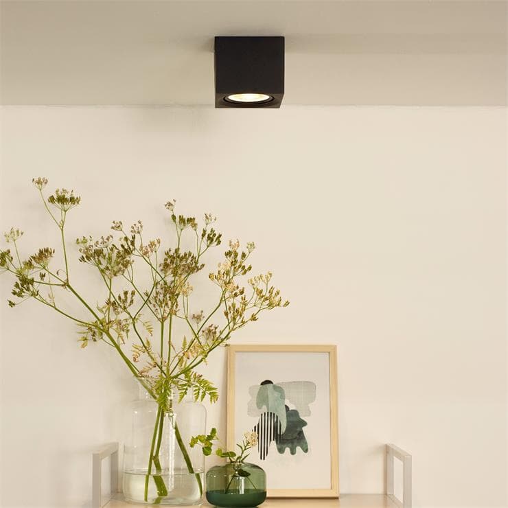 FEDLER-Spot/Plafonnier L12cm - - 2