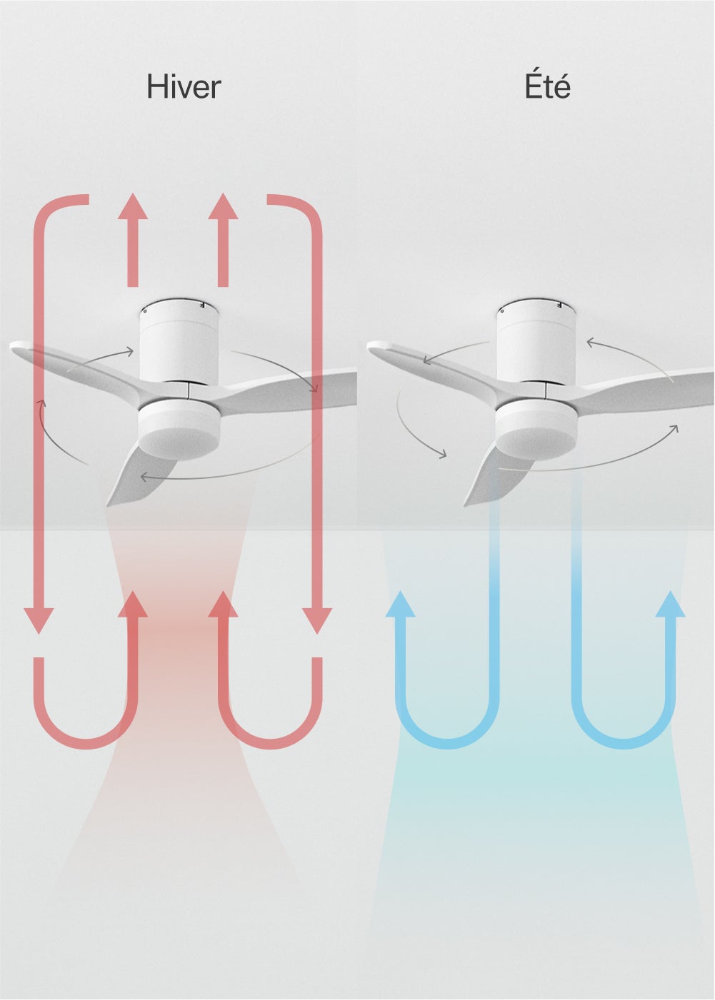 WIND CALM S - Ventilador de techo 40W silencioso con aspas de ABS técnico Ø112 - Con luz - sin WIFI - 5