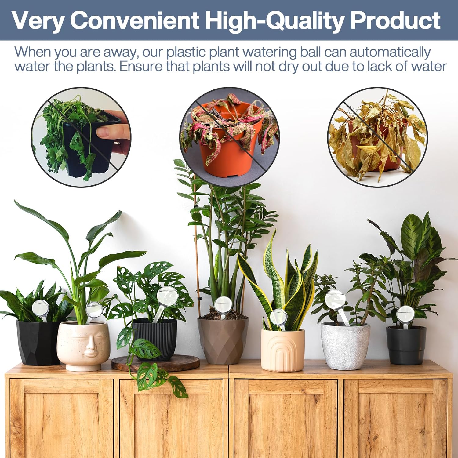 10 Pièces Boules d'Irrigation pour Plantes,Plante Arrosage Goutte à Goutte Automatique,Transparent Distributeur Eau Plante - 5