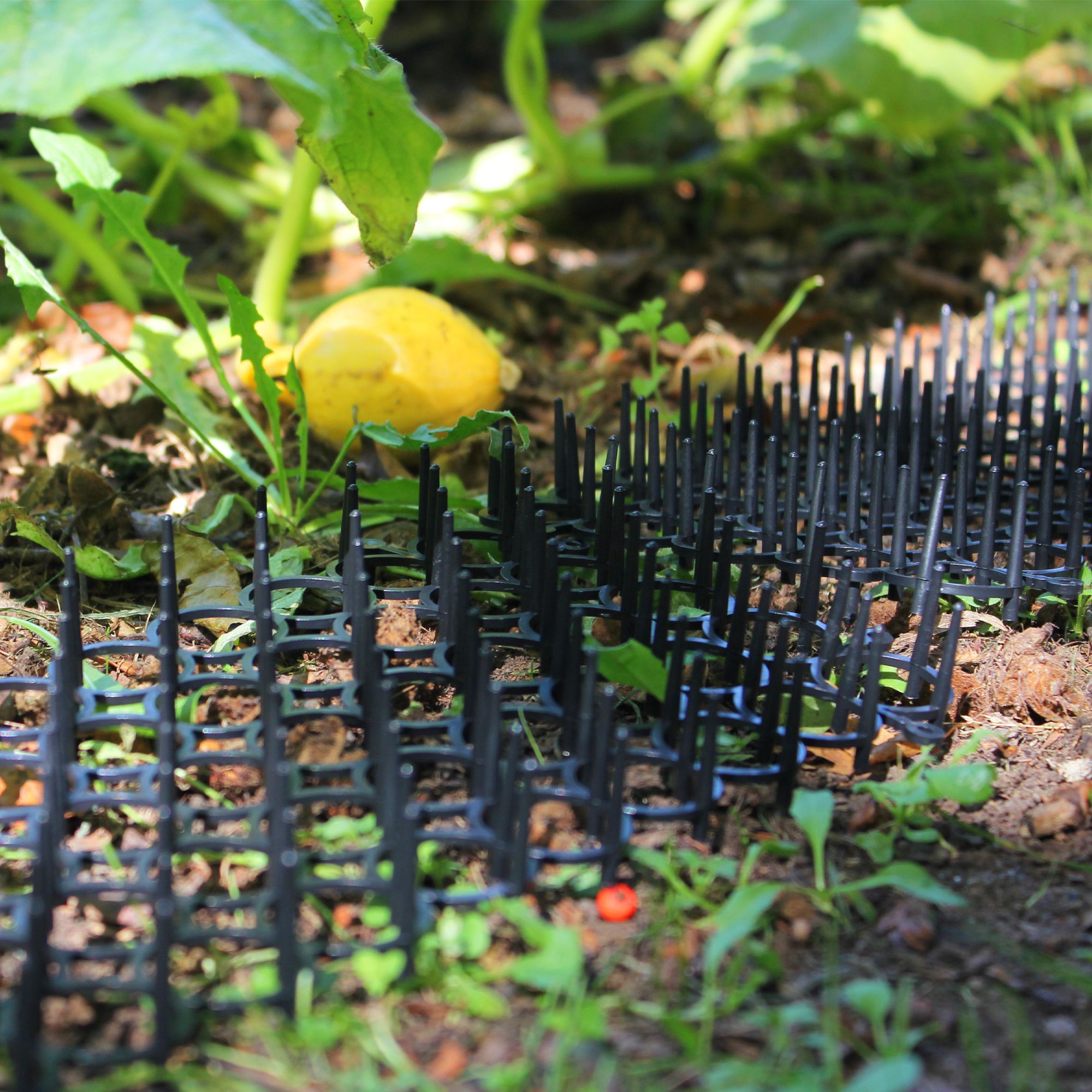 Lot De 4 Grilles Anti-nuisibles Pour Jardin - Pic Anti Pigeons, Chats, Oiseaux - Découpable Et Clipsable