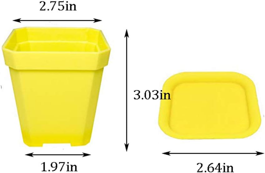 Lot de 24 pots de fleurs carrés en plastique coloré de 7,6 cm (3 pouces), adaptés aux semis, au repiquage et à la plantation. - 2