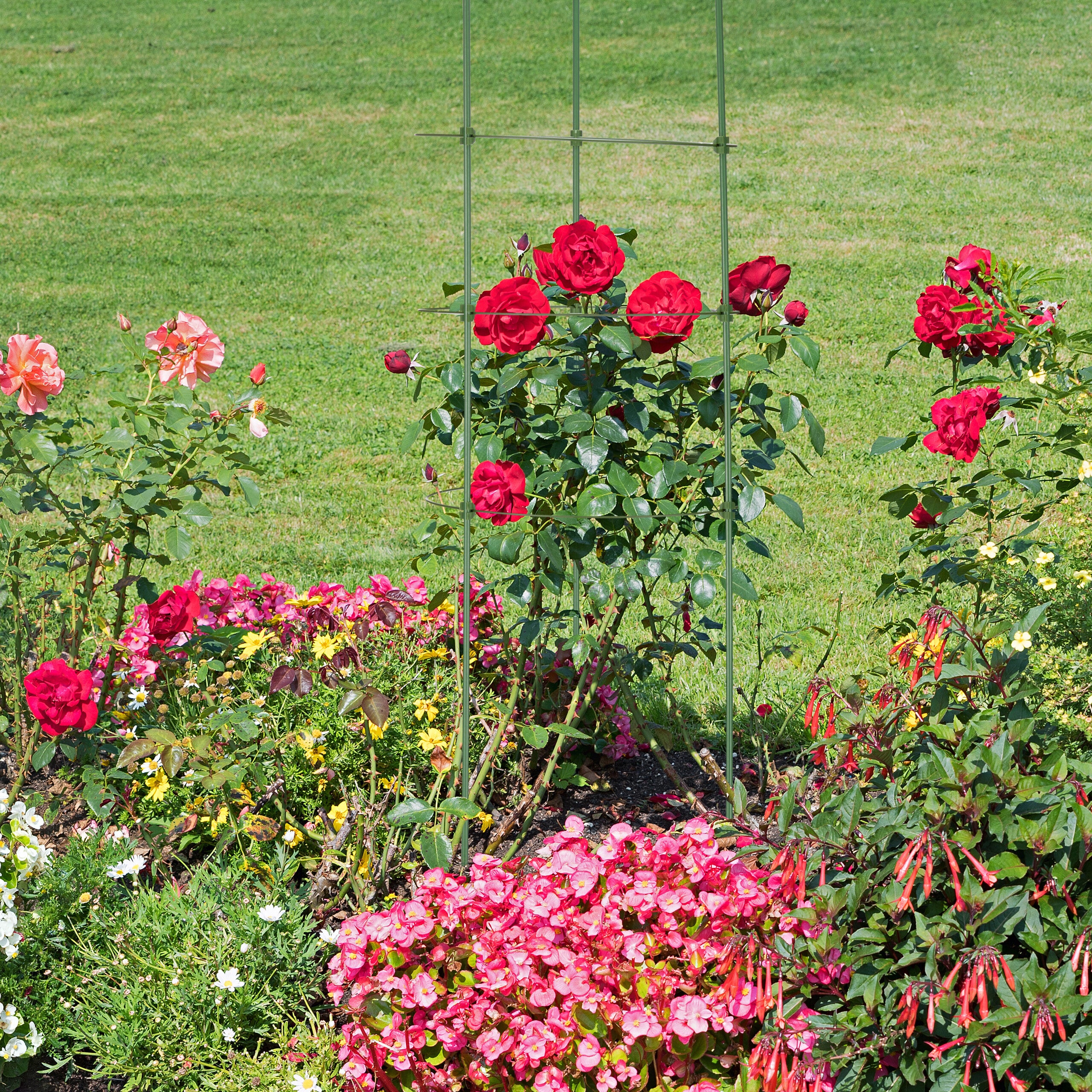 Tuteur à tomates, lot de 4, 4 anneaux, H x D : 91 x 28 cm, pour plantes utilitaires, métal & plastique, vert, Relaxdays - 5