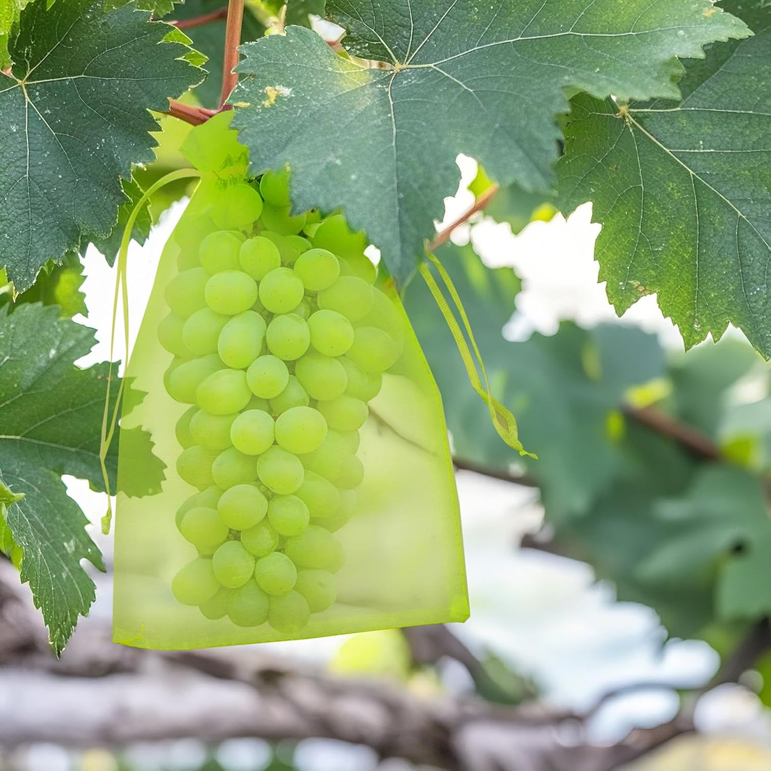 100 sztuk 20x30 cm woreczek ochronny na winogrona, zielony woreczek ochronny na owoce ze ściągaczem, przezroczysty woreczek organzowy
