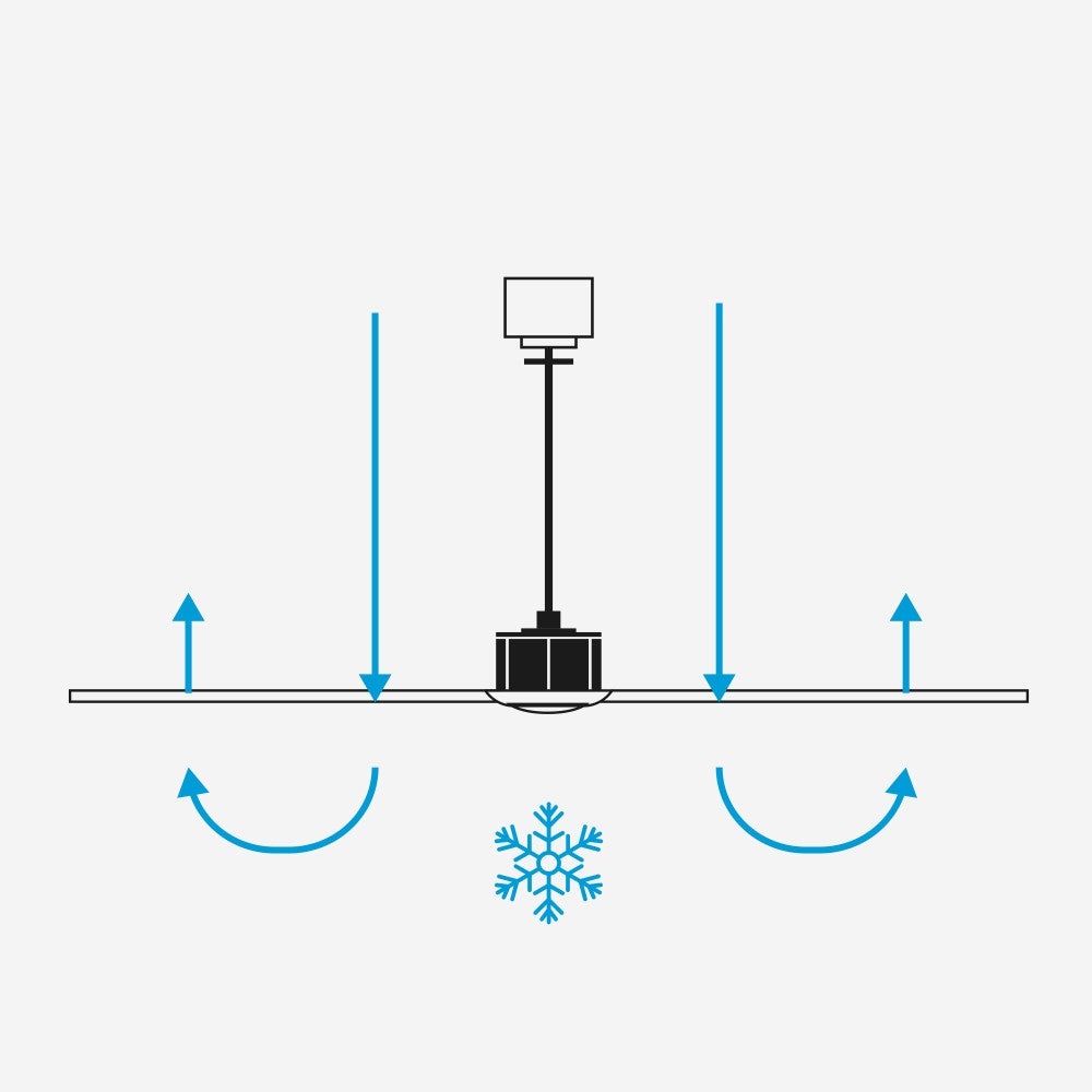 Ventilateur de plafond DC Klim S Noir-Noyer avec Lumière - 4
