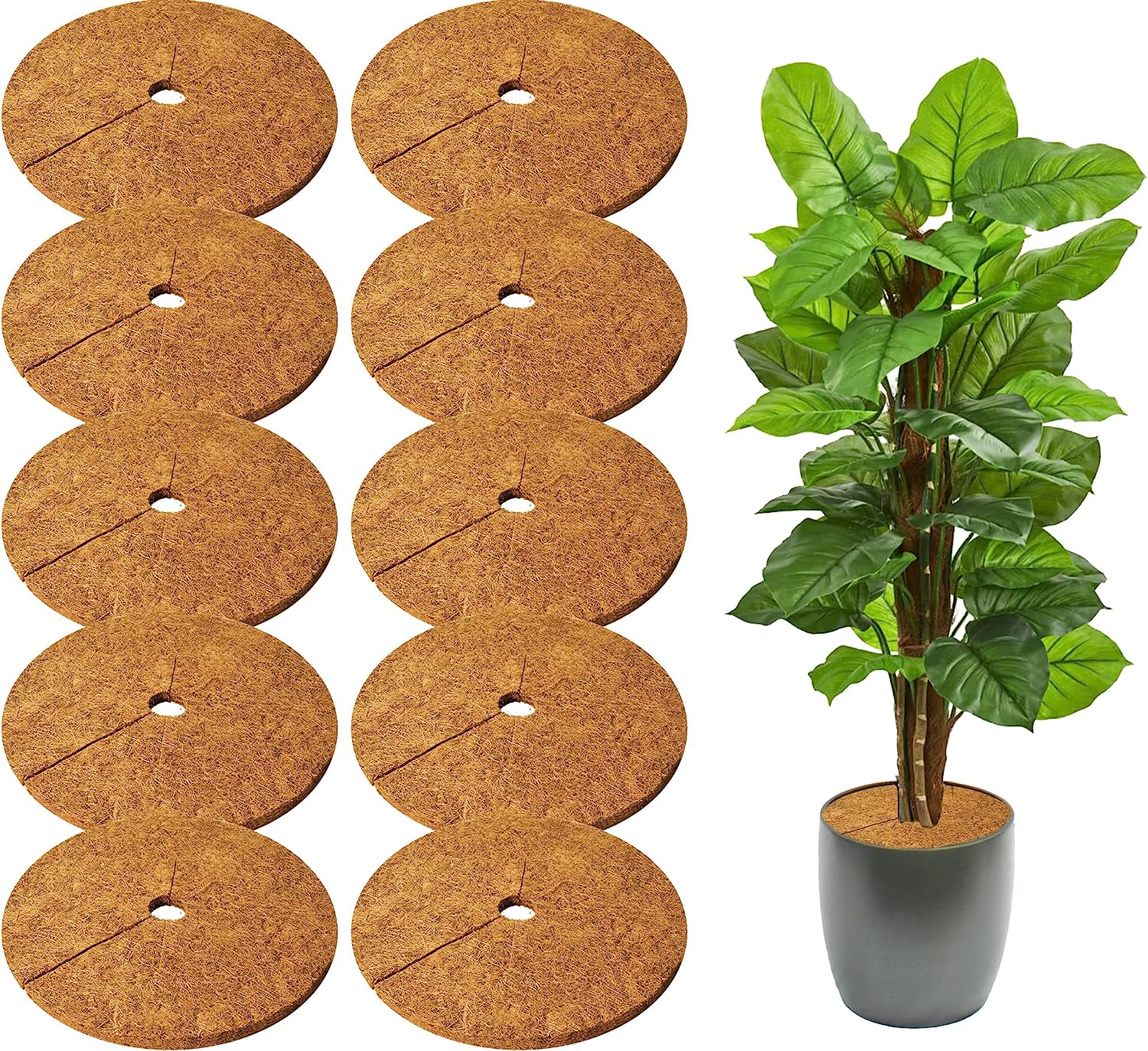 SZTUK dywan włókna kokosowego cala naturalny dywan włókna kokosowego mulczowania drzew Dywan włókna mulczowania drzew Osłona tarczy ochronnej roślin