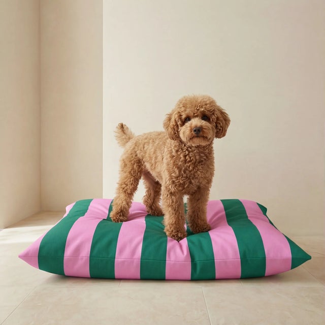 Cama para animais com capa removíve Copo L (100x75 cm)