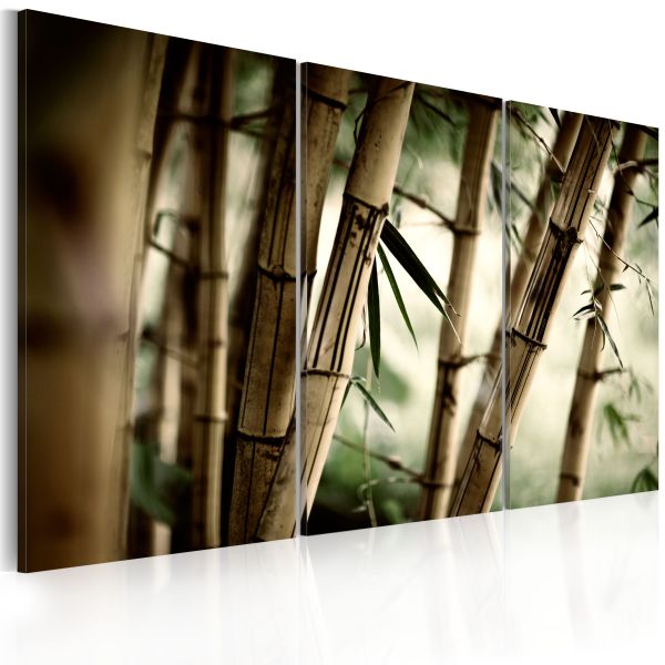 Tableau Zen forêt tropicale 120x80 cm